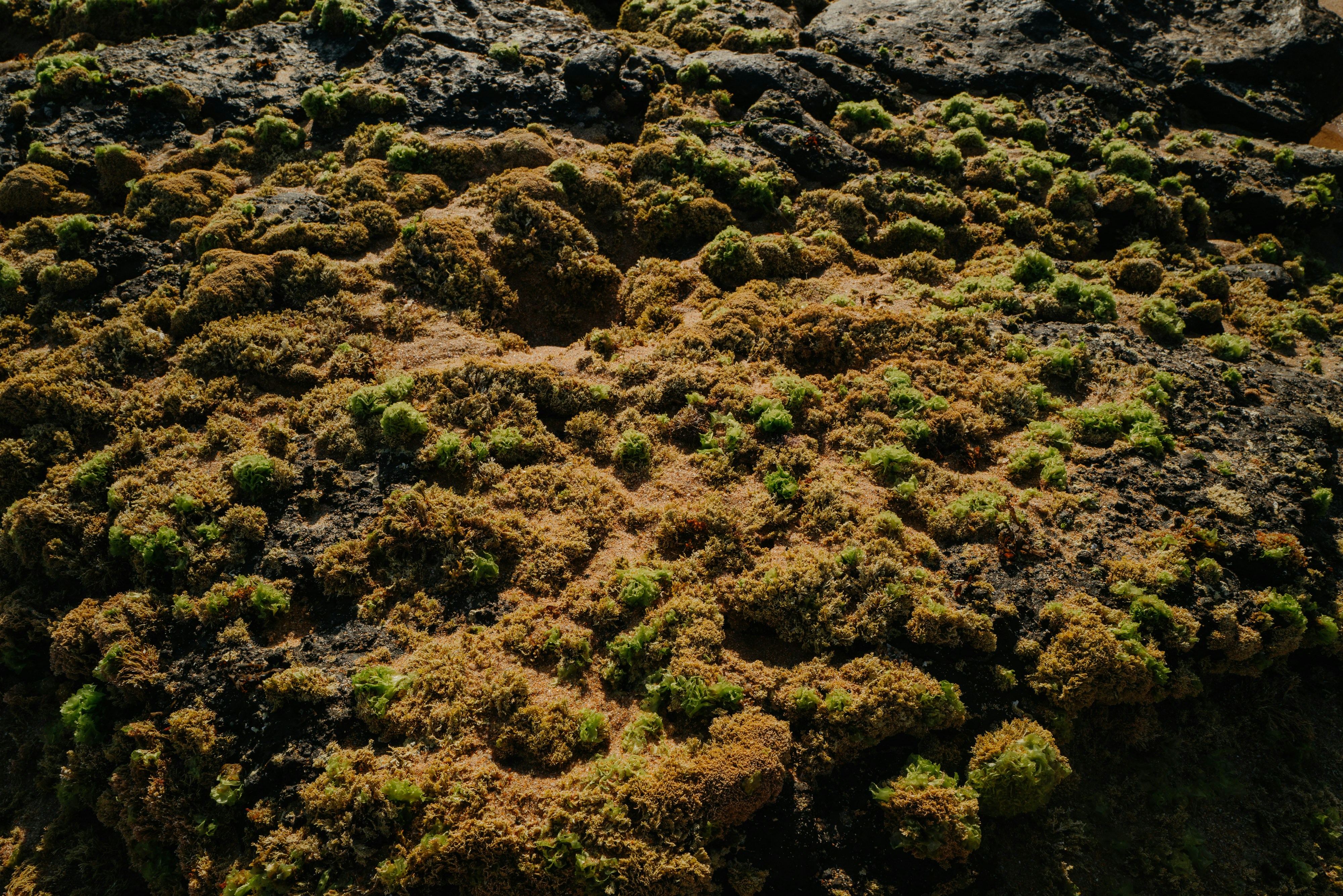 デスクに置かれた珪藻土コースター