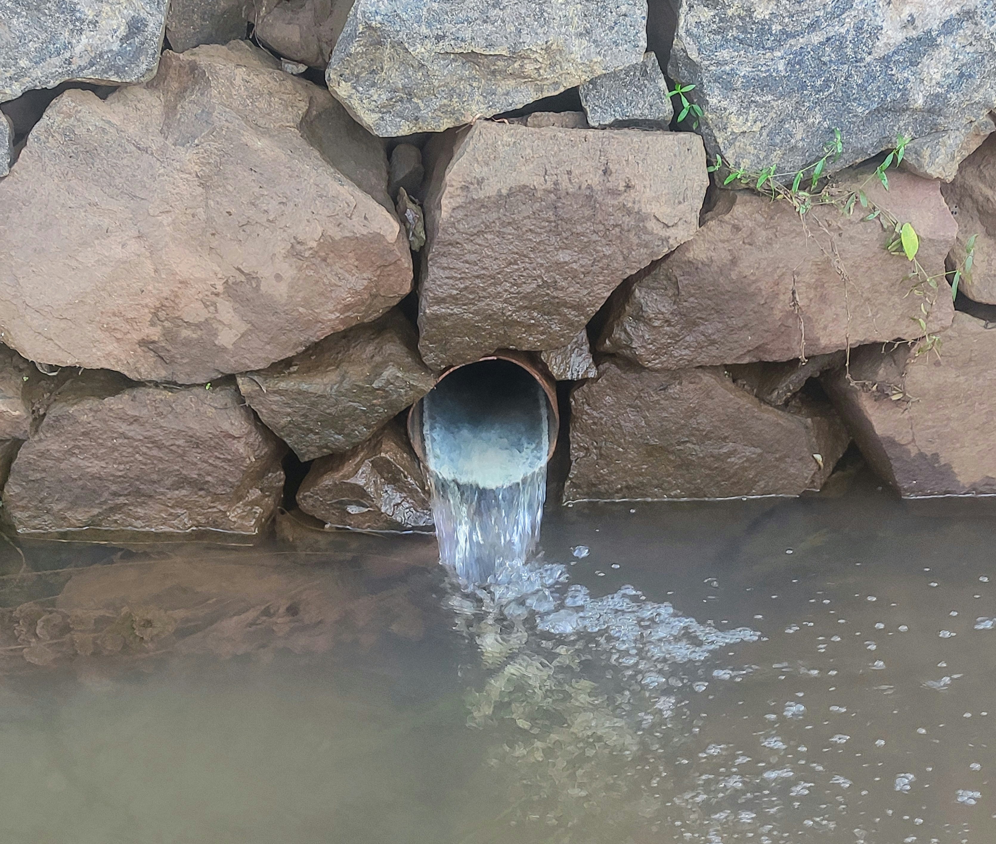 吸水速乾ヘアキャップを被り、リラックスした表情でソファーに座っている女性