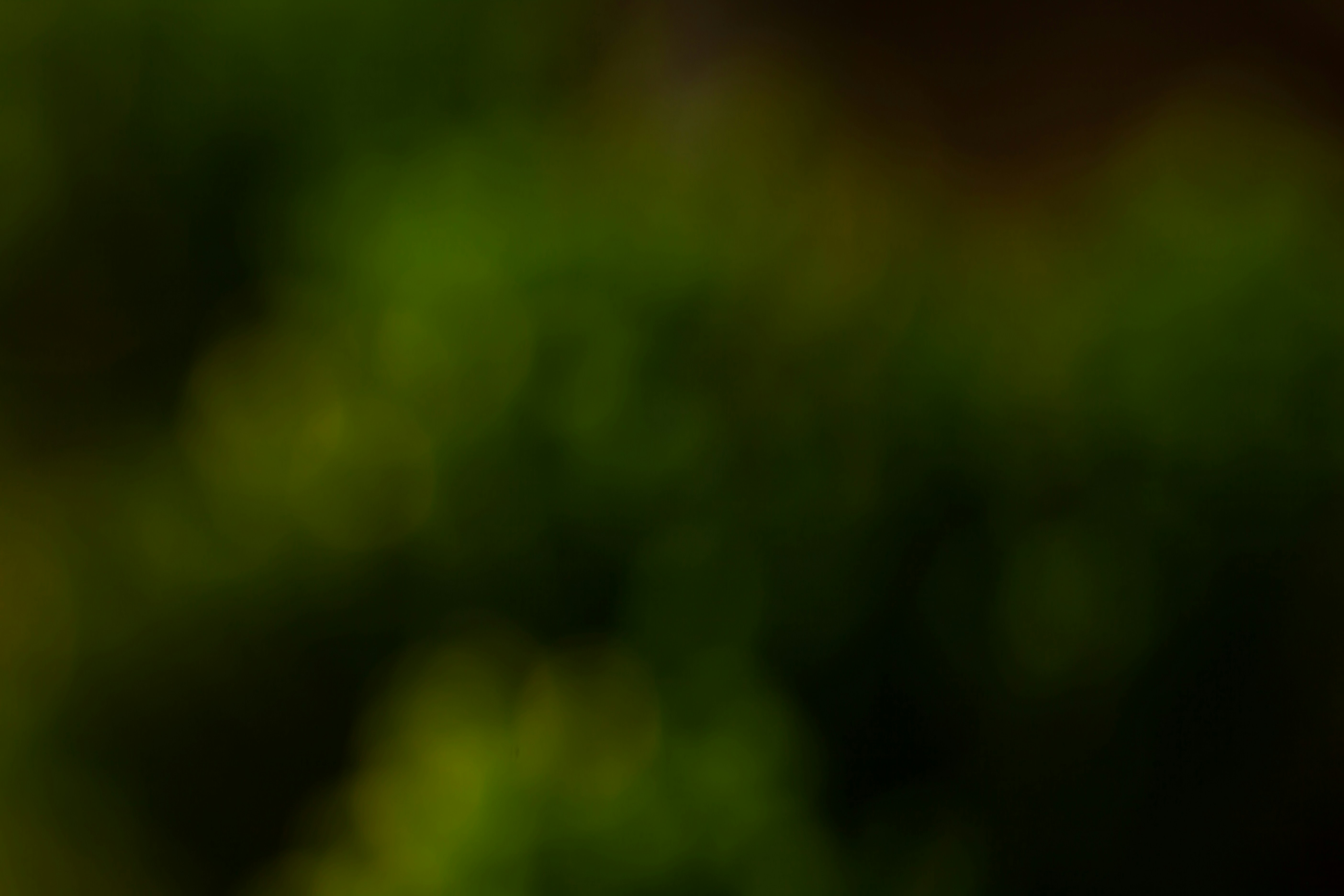 シリコンスチーマーで調理された彩り豊かな温野菜