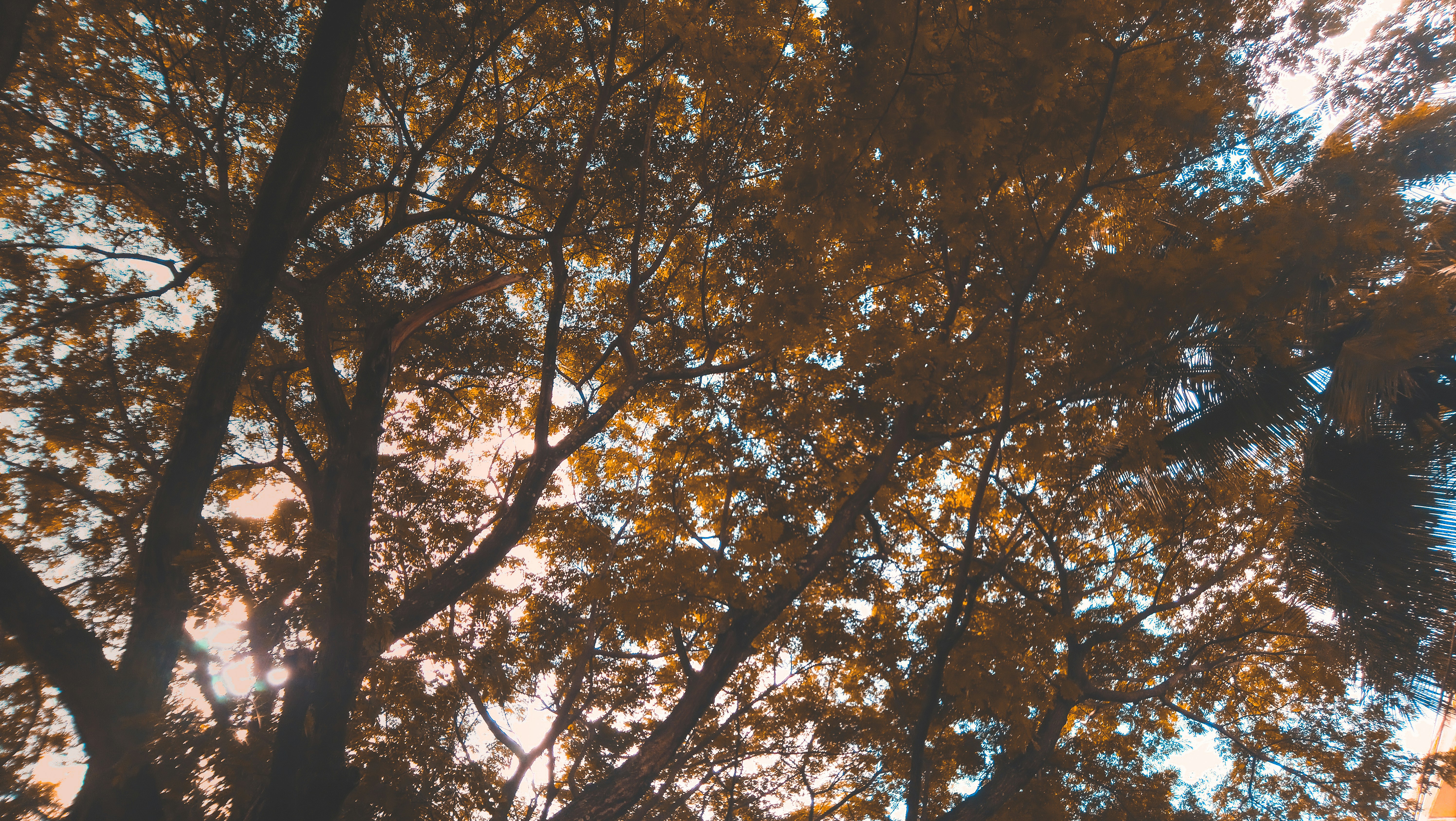 シリコン蓋つき保存容器に、色とりどりの野菜や料理が詰められて冷蔵庫に収納されている様子