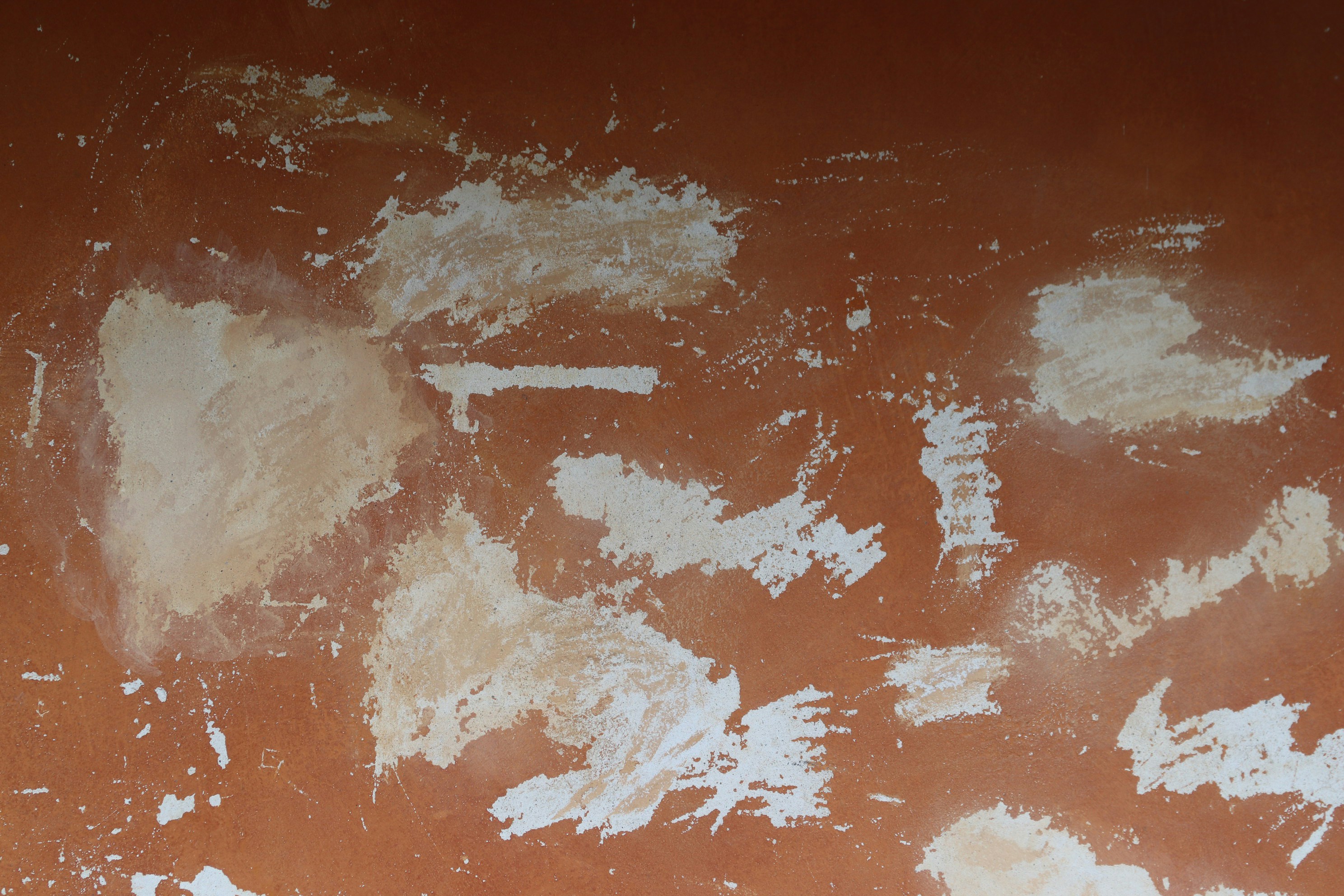 アルミカップを敷いたフライパンで目玉焼きを焼いている様子