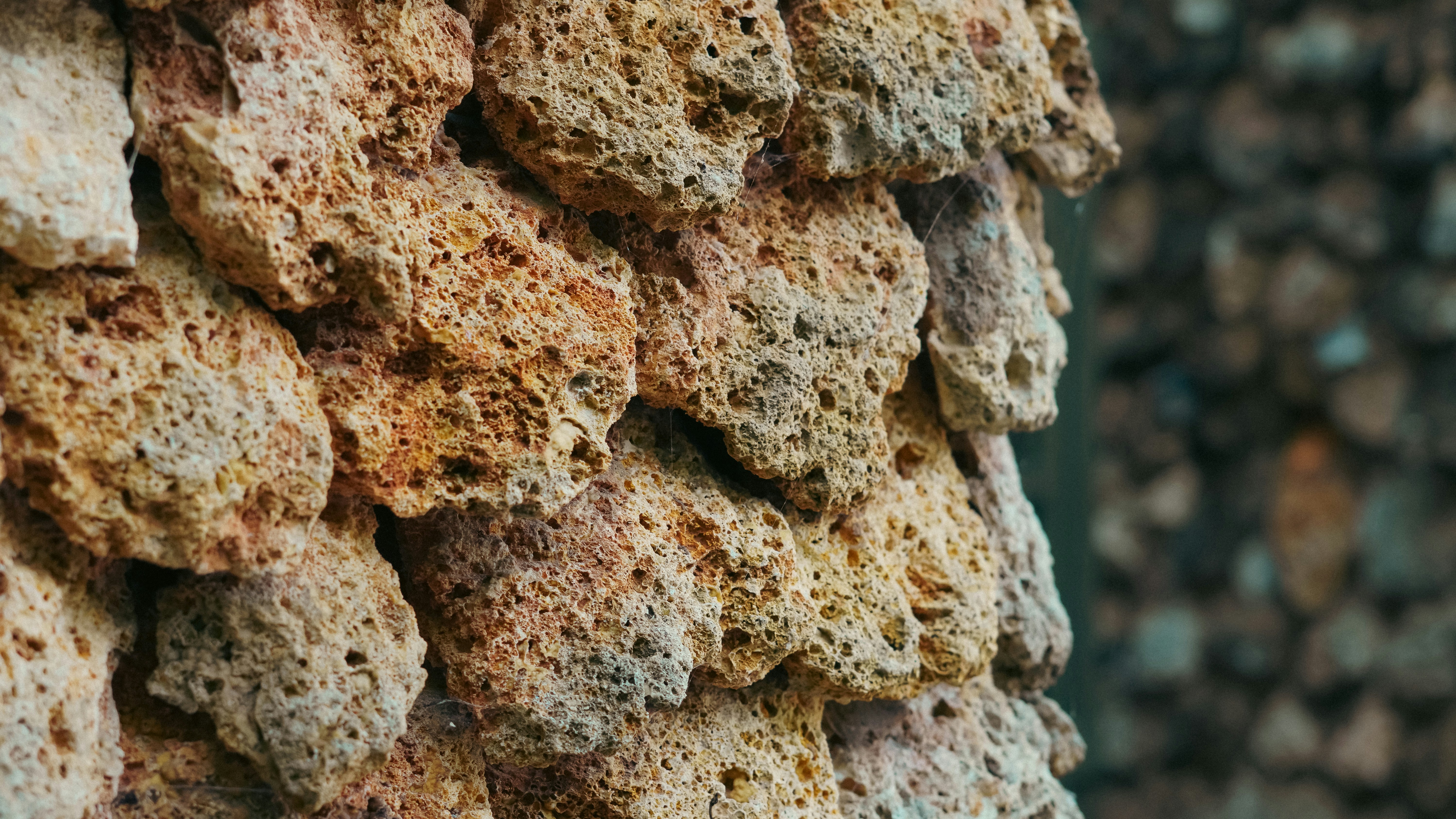 朝の洗面所で、ヘアセットをしながらシートマスクをしている女性の後ろ姿