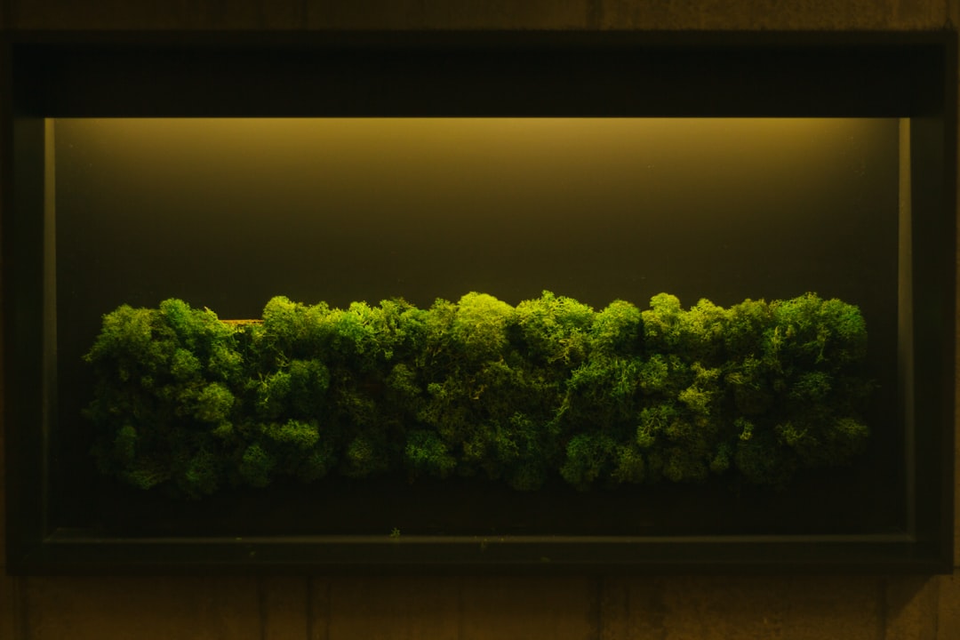 リビングの日当たりの良い窓際に置かれた、デザイン性の高い鉢に入ったモンステラ