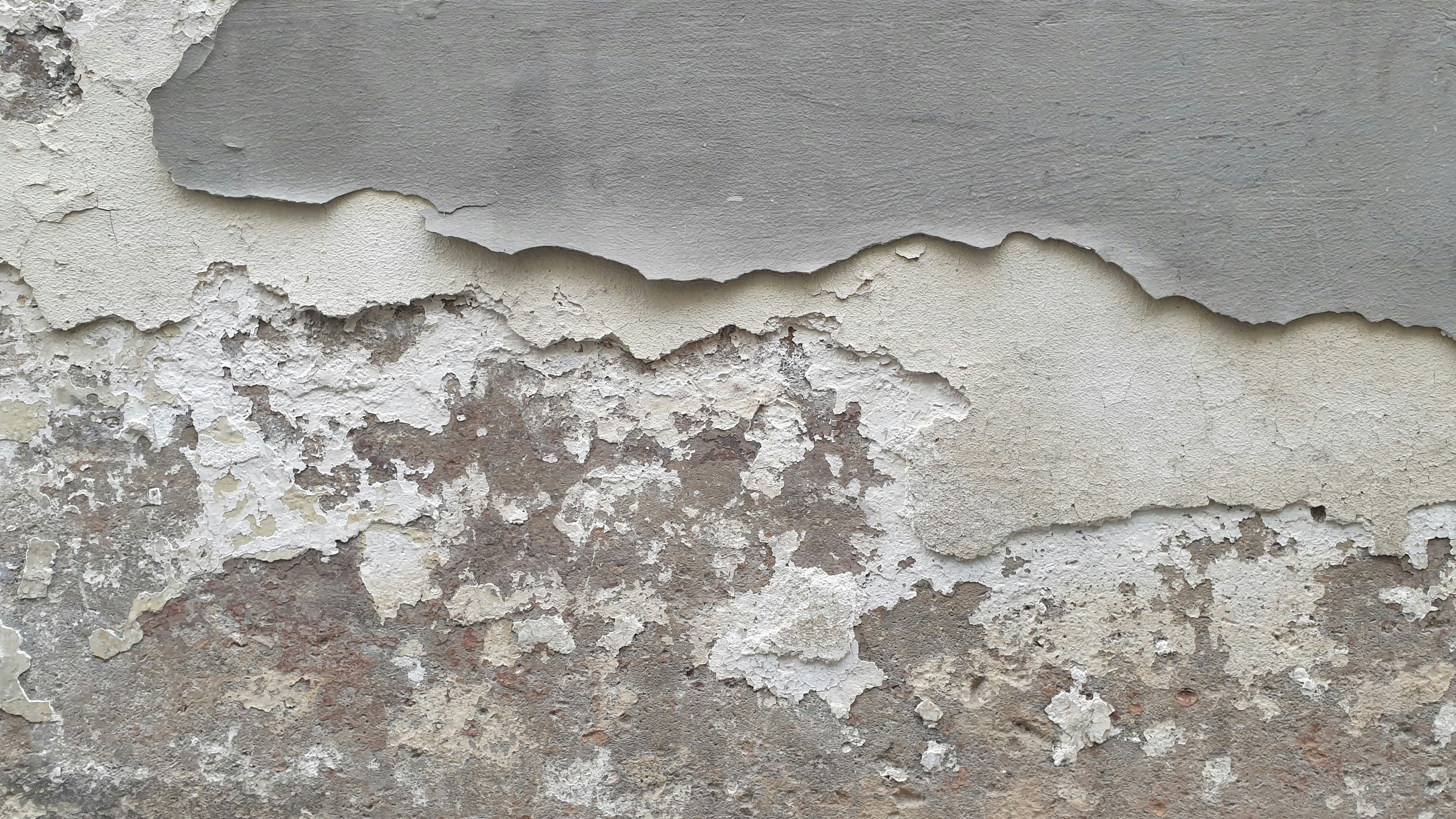 換気扇が回っている浴室全体の写真